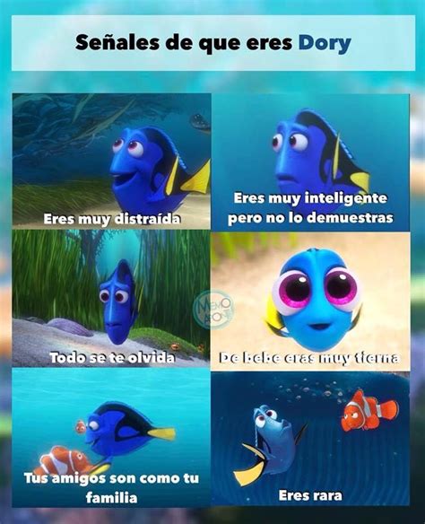 memes de dori